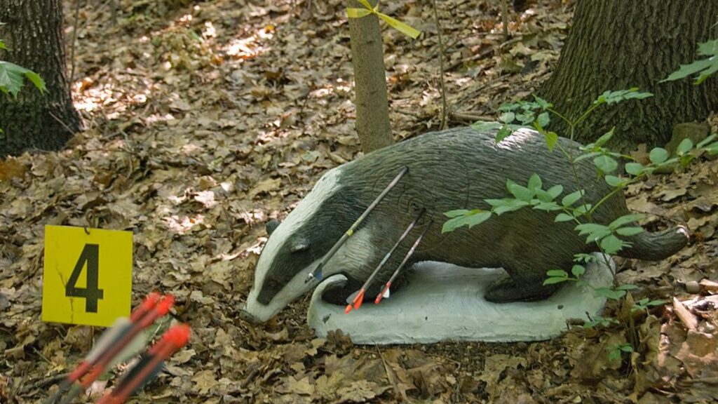 3D-Ziel in Form eines Dachses mit Pfeilen im Waldboden