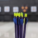 Carbonpfeile mit gelben und blauen Federn stehen in einem Köcher