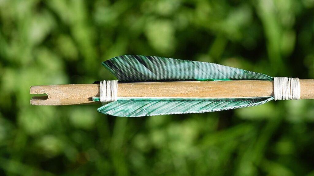 Grüne Naturfedern an einem traditionellen Holzpfeil