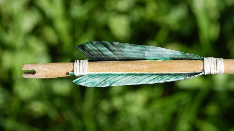 Grüne Naturfedern an einem traditionellen Holzpfeil