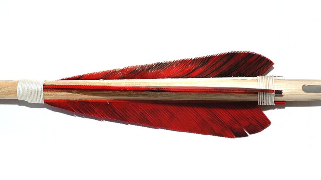 Rote Naturfedern an einem Holzpfeil mit Wicklung